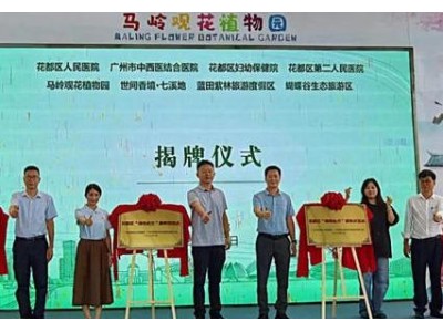 景区成“康养院”！花都首批康养示范点来了！