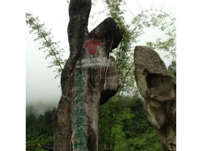 湘西坐龙峡一日游，坐龙峡团队旅游