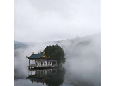 苏州到庐山康养推荐:庐山纯玩康养7日游品全鱼宴观影庐山恋等