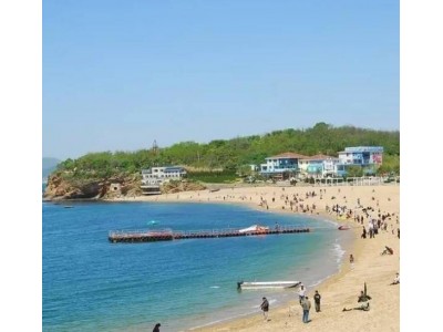 哈尔滨到大连旅游/大量老虎滩森林动物园5日/端午去大连旅游团