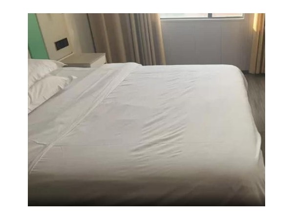 新玥.投影大床房