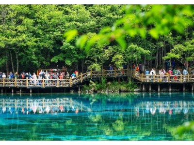 暑期旅游业态焕新：亲子游、沉浸体验蔚然成风