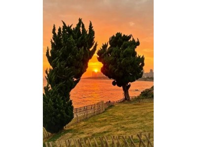 【新疆出发去北大青夕阳红12日游】北京|大连|青岛夕阳红旅游