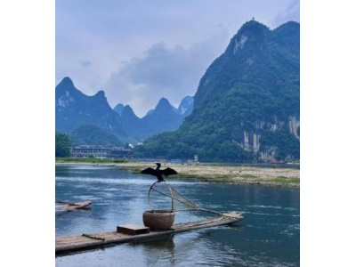 泰安发团夕阳红旅行社 |山东成团到桂林、阳朔、漓江双飞5日游