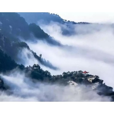 庐山精华全景游