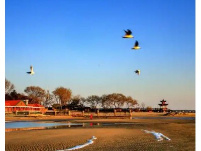南北戴河/秦皇岛/南娱/渔田/游船出海/渔岛/圣蓝双汽四日游
