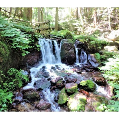 【暑期旅游】丹东宽甸青山沟(青山湖、虎塘沟、飞瀑涧)两日游