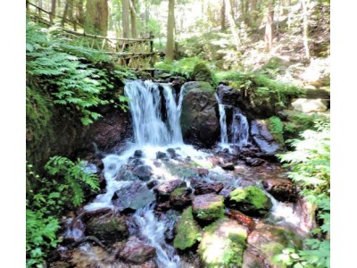 【暑期旅游】丹东宽甸青山沟(青山湖、虎塘沟、飞瀑涧)两日游