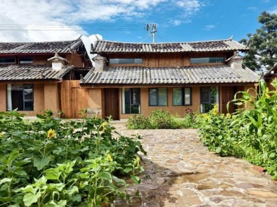 振太镇：振太镇紫马街解锁乡村旅居新美好